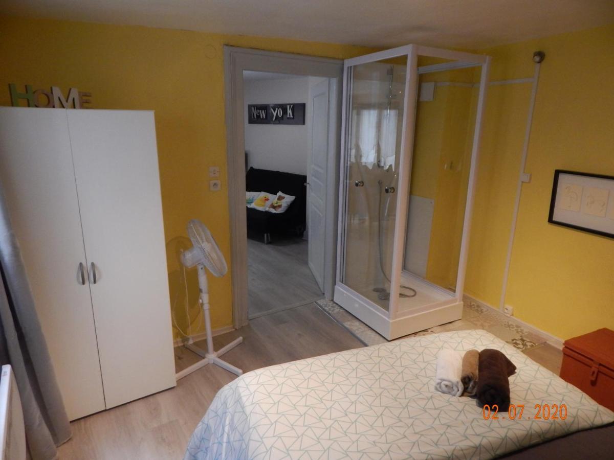 La Cigogne Blanche Apartment Colmar Exterior foto